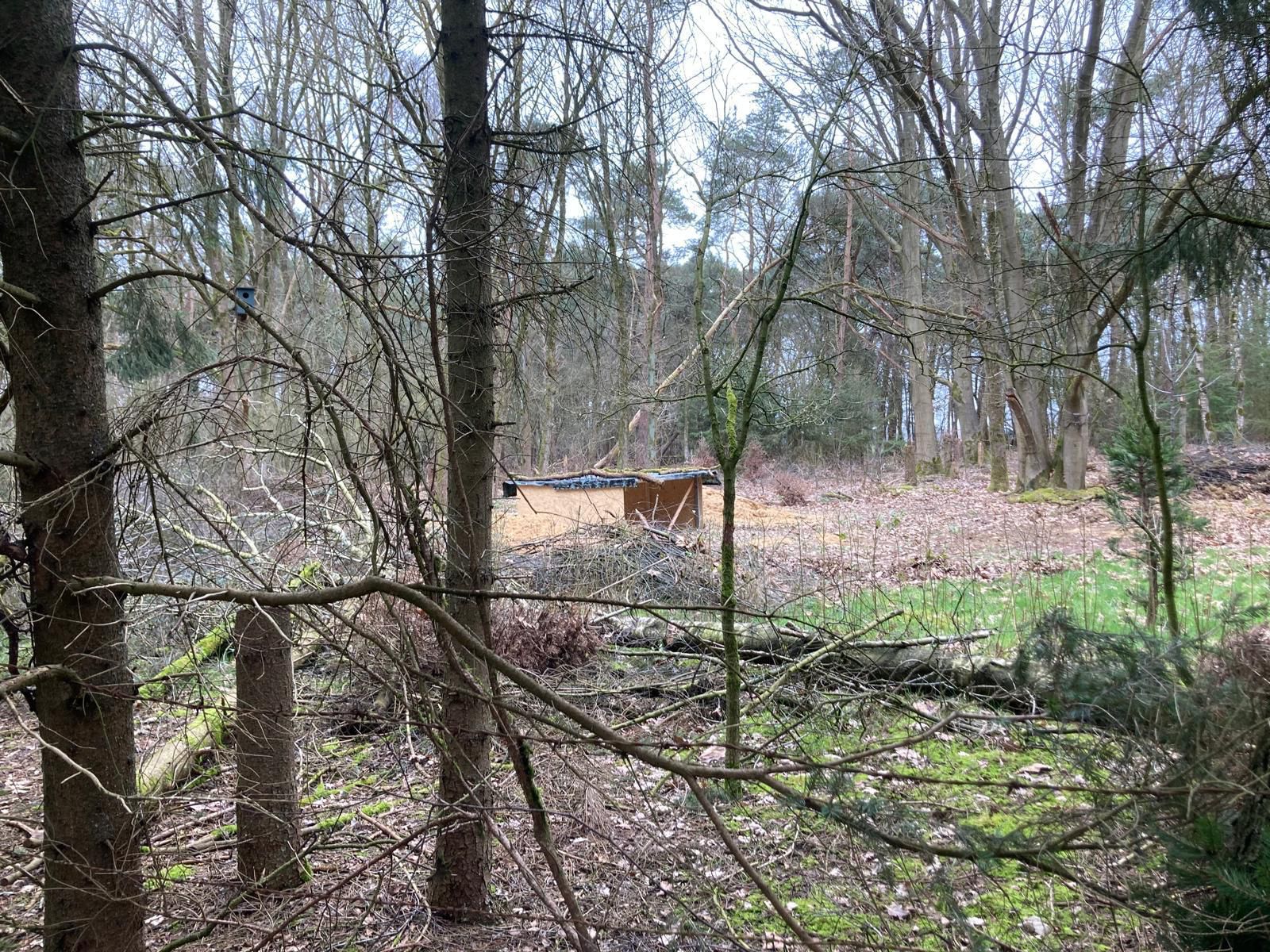 De vogelhut, zorgvuldig verscholen in het bos in Hoogeloon